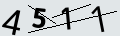 verifycode